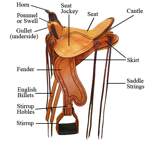 horse saddles